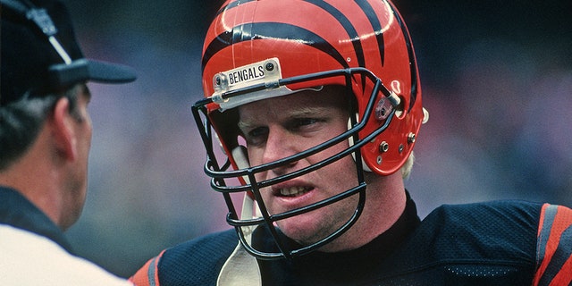 Boomer Esiason was one of the top quarterbacks in team history. (Photo by George Gojkovich/Getty Images)