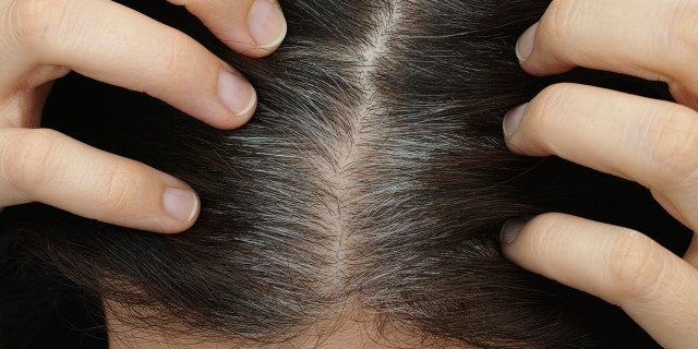 With a few simple tips, you can cover up your grays like a pro.
