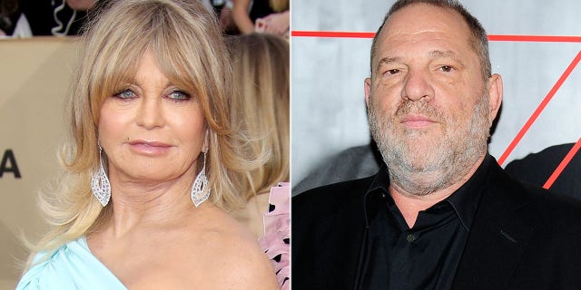 Goldie Hawn, right, admitted she once confronted Harvey Weinstein, right, over a role in the 2002 film adaptation of 'Chicago.'