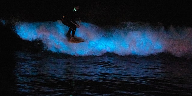 A surfer rides on a bioluminescent wave at the San Clemente pier on April 30, 2020 in San Diego, California.