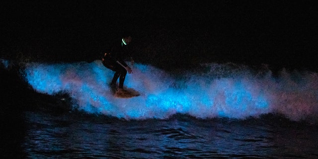 A surfer rides on a bioluminescent wave at the San Clemente pier on April 30, 2020 in San Diego, California.