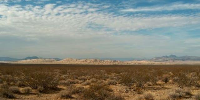 An LAPD officer was reportedly shot early Sunday during a camping trip in Southern California's Mojave Desert.