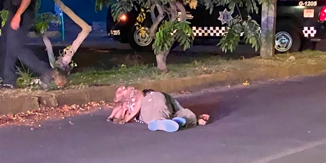 This image shows a loyal pit bull dog standing guard over its owner’s dead body after he was gunned down in the middle of the street.