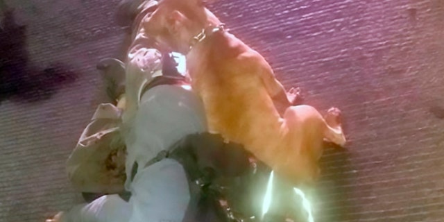 A pit bull stands guard over its owner’s dead body after he was gunned down in the middle of the street in Guadalajara, Mexico, this week.