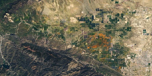 Poppy blooms in the Antelope Valley California Poppy Reserve can be seen on April 14, 2020.