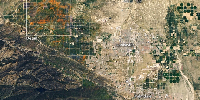 Poppy blooms in the Antelope Valley California Poppy Reserve can be seen on April 14, 2020.
