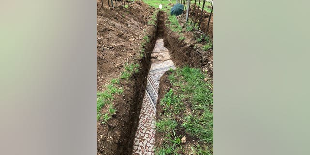 The mosaic was discovered beneath a vineyard in Northern Italy.