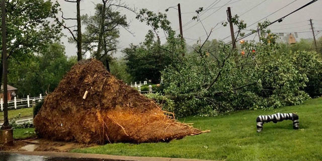 Damage was reported across Nashville after a derecho slammed the region on Sunday.