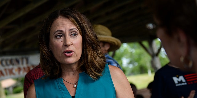 UNITED STATES - AUGUST 11: Democratic Senate candidate Theresa Greenfield talks with attendees at a picnic hosted by the Adair County Democrats in Greenfield, Iowa on Sunday August 11, 2019. (Photo by Caroline Brehman/CQ Roll Call)