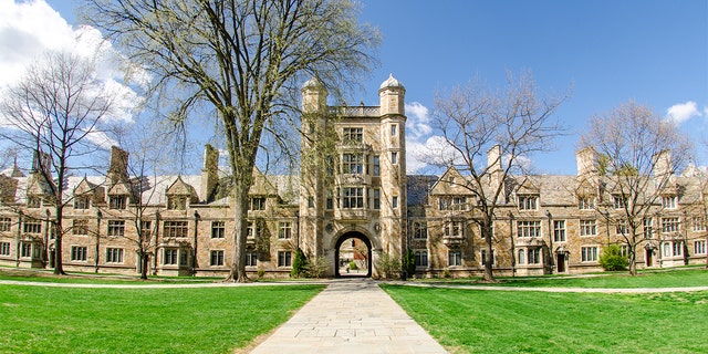 El Campus de la Facultad de Derecho de la Universidad de Michigan en Ann Arbor también se conoce como "El patio de la ley" o "El Cuadrángulo de la Ley".  En el Campus, los estudiantes viven en dormitorios de una instalación conocida como "club de abogados".