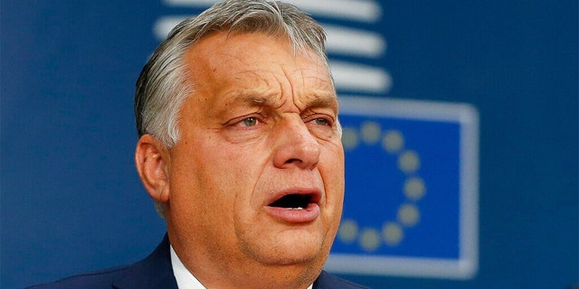 Hungarian Prime Minister Viktor Orban (AP) 