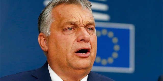 Hungarian Prime Minister Viktor Orban (AP)