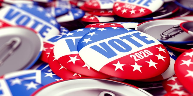 A former elections has pleaded guilty to accepting bribes in exchange for propping up candidates.
