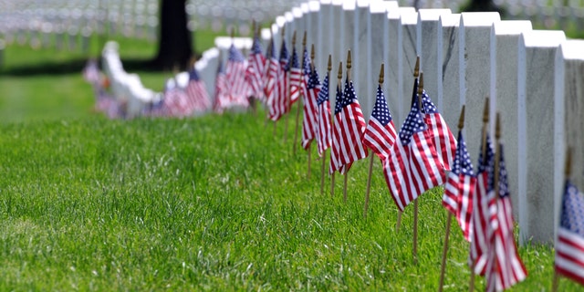 Memorial Day flags