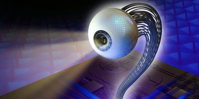A new design for an artificial eyeball (illustrated) could someday give eyesight to androids, or perhaps be used as a high-tech prosthetic.