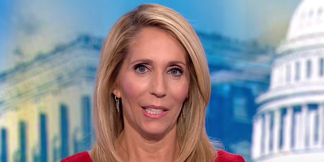 CNN's Dana Bash called out Democrats for using the end of Roe to their advantage.