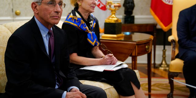 Le directeur de l'Institut national des allergies et des maladies infectieuses, le Dr Anthony Fauci, à gauche, et la coordinatrice de la réponse au coronavirus de la Maison Blanche, le Dr Deborah Birx, assistent à une réunion sur le coronavirus avec le gouverneur de Louisiane John Bel Edwards et le président Donald Trump dans le bureau ovale de la Maison Blanche, mercredi 29 avril 2020, à Washington.  (Photo AP/Evan Vucci)