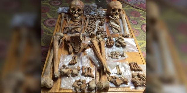 The remains of the older warrior woman (left) and her husband, which were excavated from the Airagiin Gozgor archaeological site, in the Orkhon province of northern Mongolia. (Credit: Christine Lee)