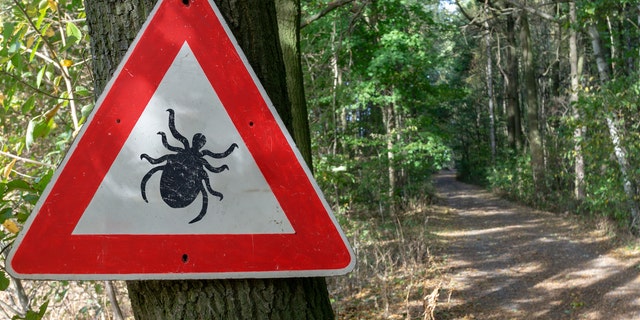 A sign warns hikers and passersby of ticks. (iStock)