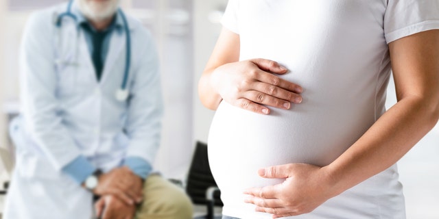 Happy pregnant woman visit gynecologist doctor at hospital or medical clinic for pregnancy consultant. Doctor examine pregnant belly for baby and mother healthcare check up. Gynecology concept.