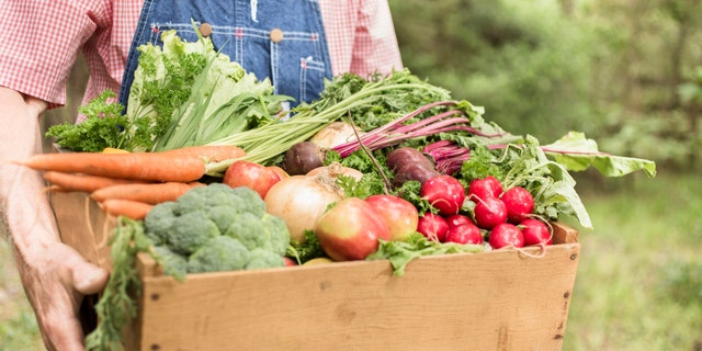 The USDA is buying $470 million worth of meat, dairy, produce and seafood from American farmers and donating it to food banks this summer.