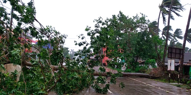 Trees lie uprooted on a highway from heavy winds ahead of Cyclone Amphan landfall, at Chandbali on the Bay of Bengal coast in Orissa, India, May 20, 2020.