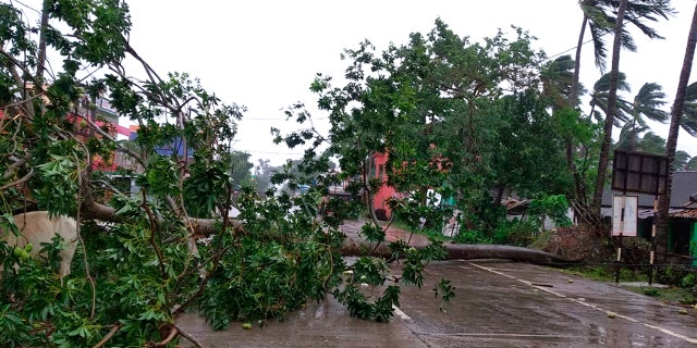 Trees lie uprooted on a highway from heavy winds ahead of Cyclone Amphan landfall, at Chandbali on the Bay of Bengal coast in Orissa, India, May 20, 2020.