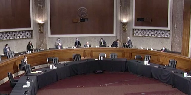 A socially-distanced Senate Judiciary Committee Hearing. (Senate Judiciary Committee)