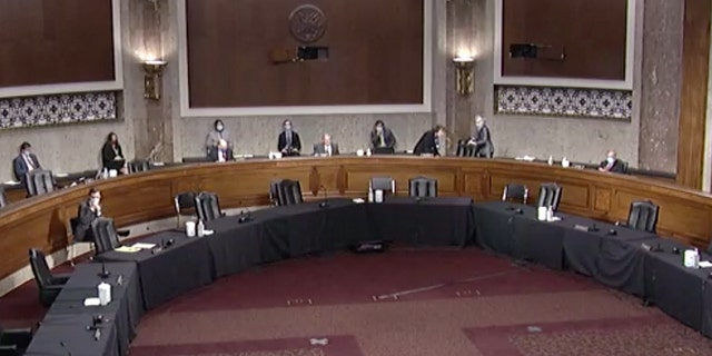 A socially-distanced Senate Judiciary Committee Hearing for Justin Walker. (Senate Judiciary Committee)