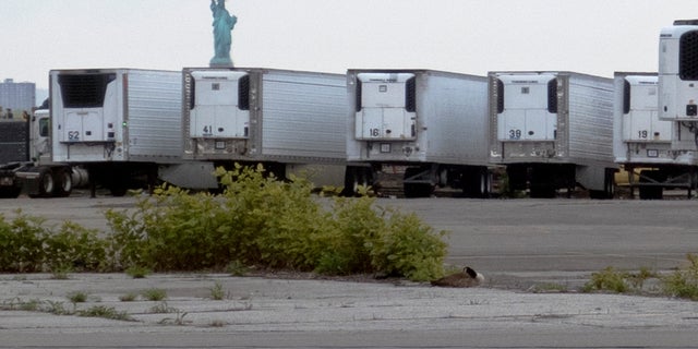 The Statue of Liberty rises in the distance above refrigerated trucks intended for storing corpses that are staged in a lot at the 39th Street pier in Brooklyn. (AP)