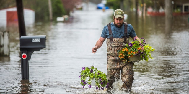 Tyler Marciniak, of Grand Rapids, carries hanging plants through floodwaters as he helps his father, Tom Marciniak, assess the damage to his home on Red Oak Drive on Wixom Lake, Tuesday, May 19, 2020, in Beaverton, Mich.