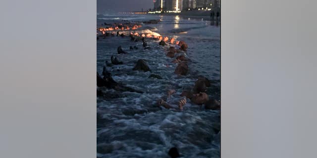 SEAL candidates participate in surf immersion during Basic Underwater Demolition/SEAL (BUD/S) training at Naval Special Warfare (NSW) Center in Coronado, Calif., May 4, 2020.