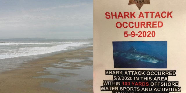 A surfer was killed in a shark attack at Manresa State Beach in Northern California on Saturday.