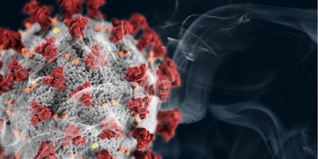 Smoking changes the lungs in ways that make the coronavirus more likely to bind to lung cells.
