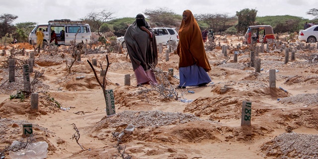 Somalia sees 'massive' uptick in female genital mutilation during