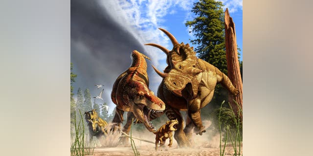 In this artist's depiction of wildlife from Alberta, Canada, 77 million years ago, the tyrannosaur Daspletosaurus hunts a young horned Spinops, while an adult Spinops tries to interfere and Coronasaurus watches from a distance. (Credit: Julius Csotonyi)