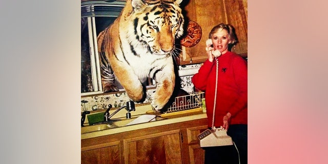 Actress and activist Tippi Hedren in the kitchen of her home in Acton, California in 1994. Tippi was on the phone as a tiger named Zoe jumped through the kitchen window. 