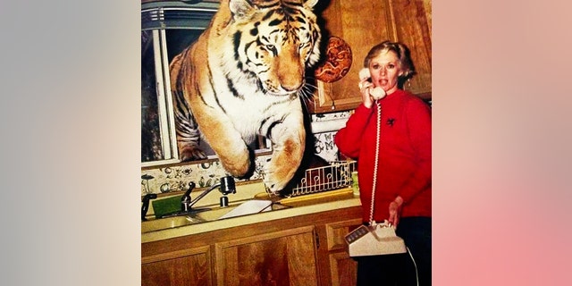 Actress and activist Tippi Hedren in the kitchen of her home in Acton, California in 1994. Tippi was on the phone as a tiger named Zoe jumped through the kitchen window.