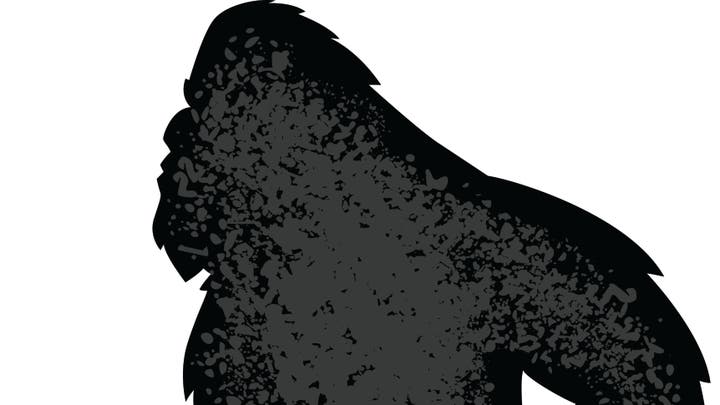 Fox News Flash top headlines for May 23