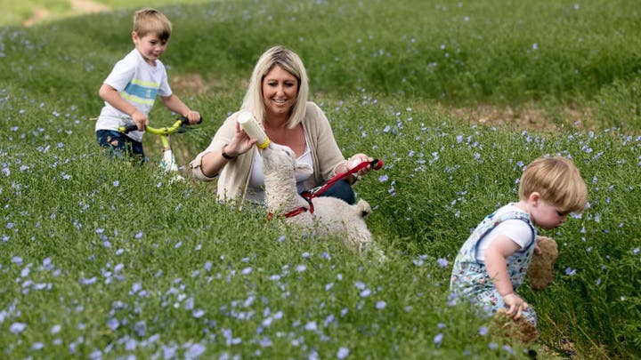 Fox News Flash top entertainment headlines for May 19