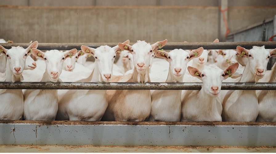 Fox News Flash top headlines for September 5