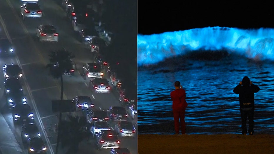 Rare neonblue waves attract crowds to California beaches, despite stay
