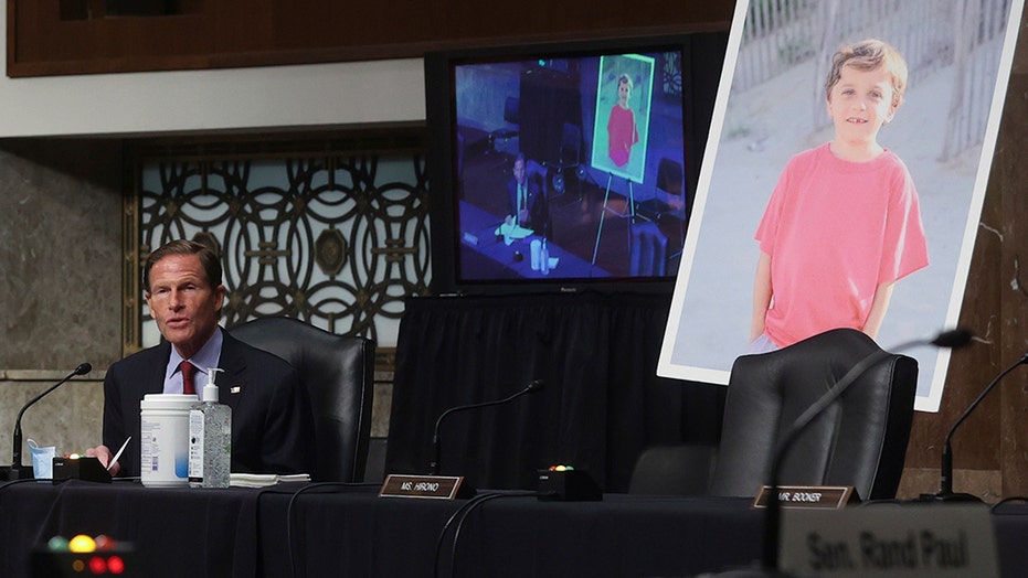 Sen. Cruz on coronavirus, how Senate should handle Schumer's 'judicial intimidation'