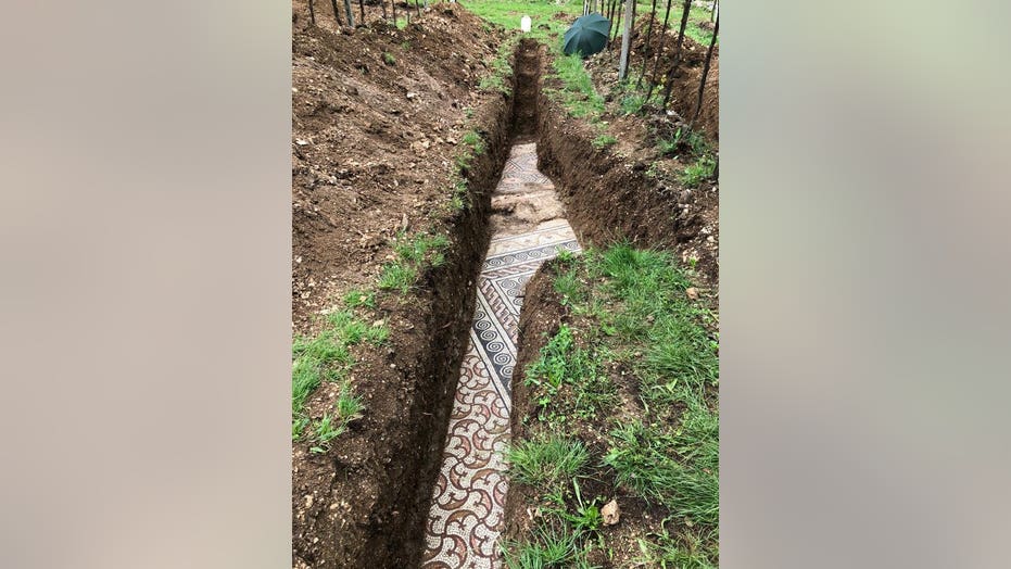 Stunning Ancient Roman Mosaic Discovered Beneath Italian Vineyard Fox News