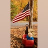 This is a photo taken of my Granddaughter, Rhyan Elizabeth, 2, this fall. I think this photo is so beautiful, and her awe and respect of our great flag brings me back to a happier time. It reminds me that we WILL get through this together as a nation