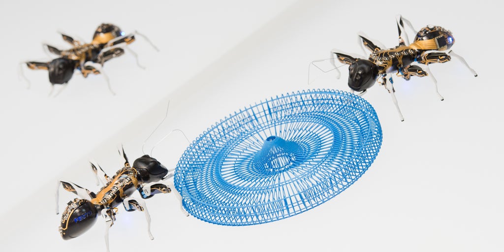 robotic insects technology