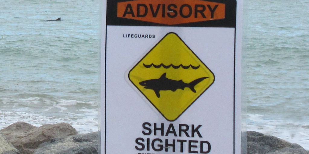 Florida shark attack leaves teen with 'serious injuries' - Vimarsana News