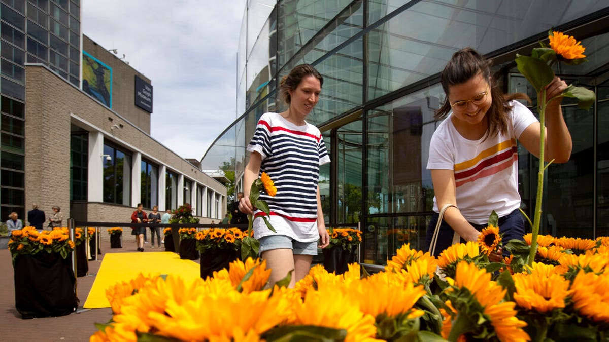 Visitors leaving the reopened Van Gogh Museum were offered a free sunflower in Amsterdam, Netherlands, Monday, June 1, 2020, after coronavirus restrictions were relaxed.
