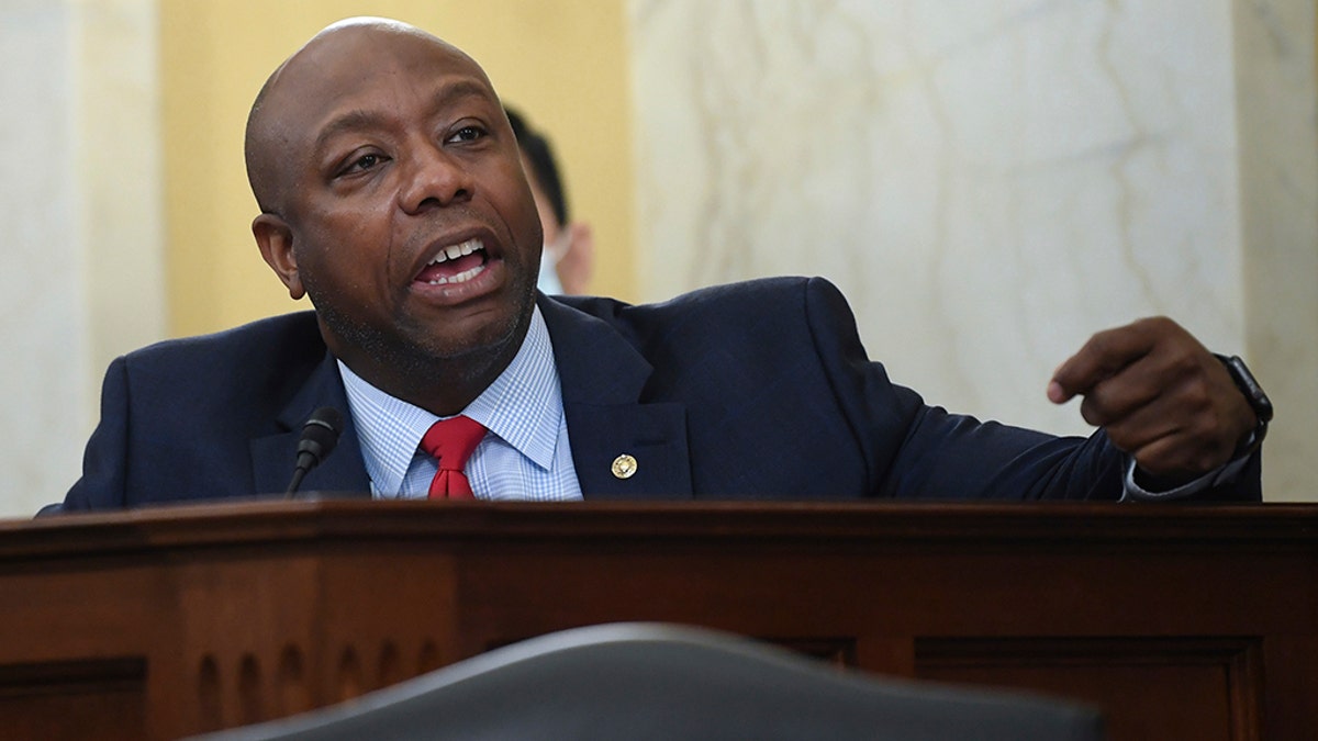 Sen. Tim Scott, R-S.C., speaks during a Senate Small Business and Entrepreneurship hearing to examine implementation of Title I of the CARES Act, Wednesday, June 10, 2020 on Capitol Hill in Washington. (Kevin Dietsch/Pool via AP)