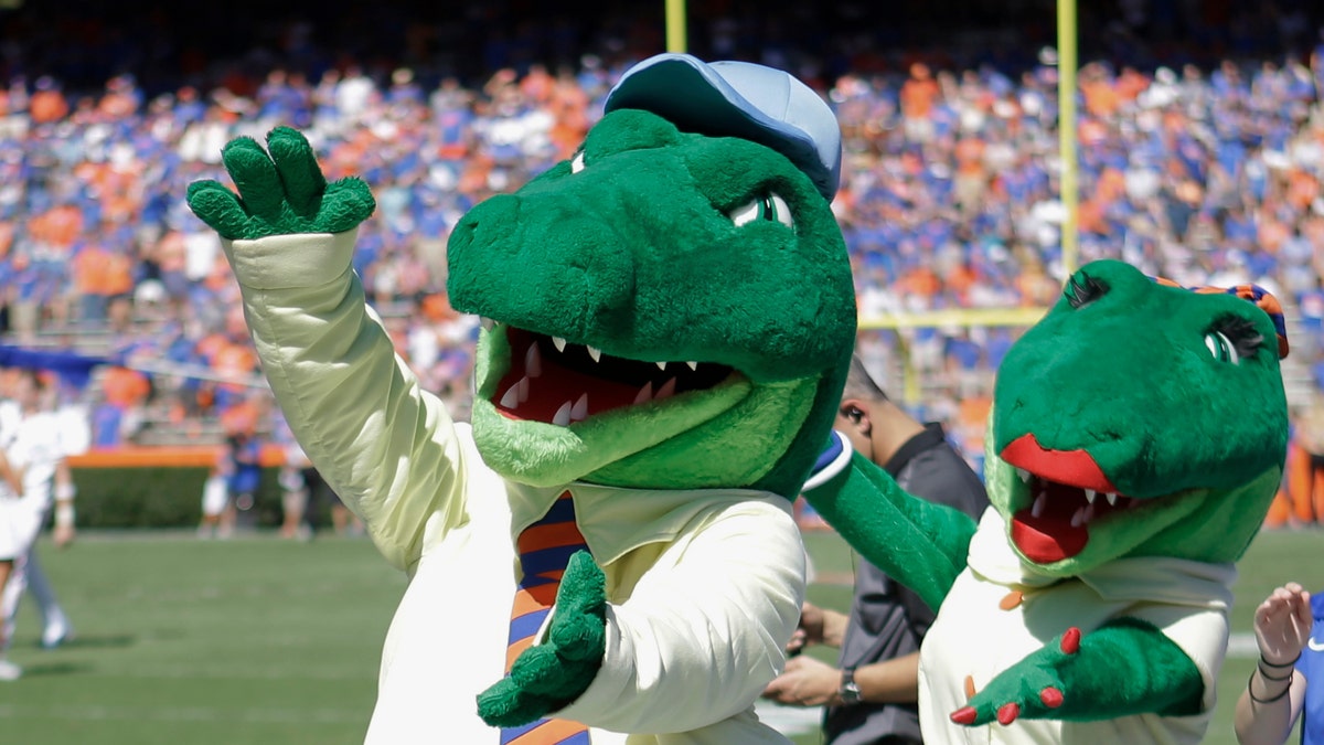  In this Nov. 7, 2015, file photo, Albert and Alberta, the mascots for Florida, do the gator chomp before the first half of an NCAA college football game against Vanderbilt in Gainesville, Fla. (AP Photo/John Raoux, File)